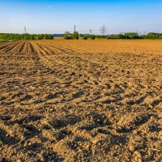 Top 5 des erreurs de travail du sol (et comment les éviter)