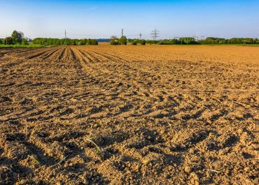 Top 5 des erreurs de travail du sol (et comment les éviter)