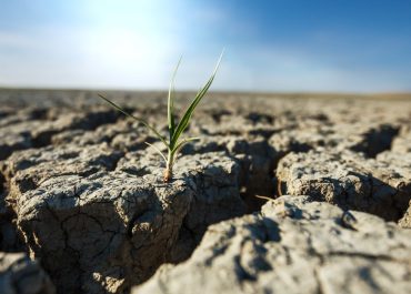 Sécheresse : 5 solutions pour protéger vos sols agricoles