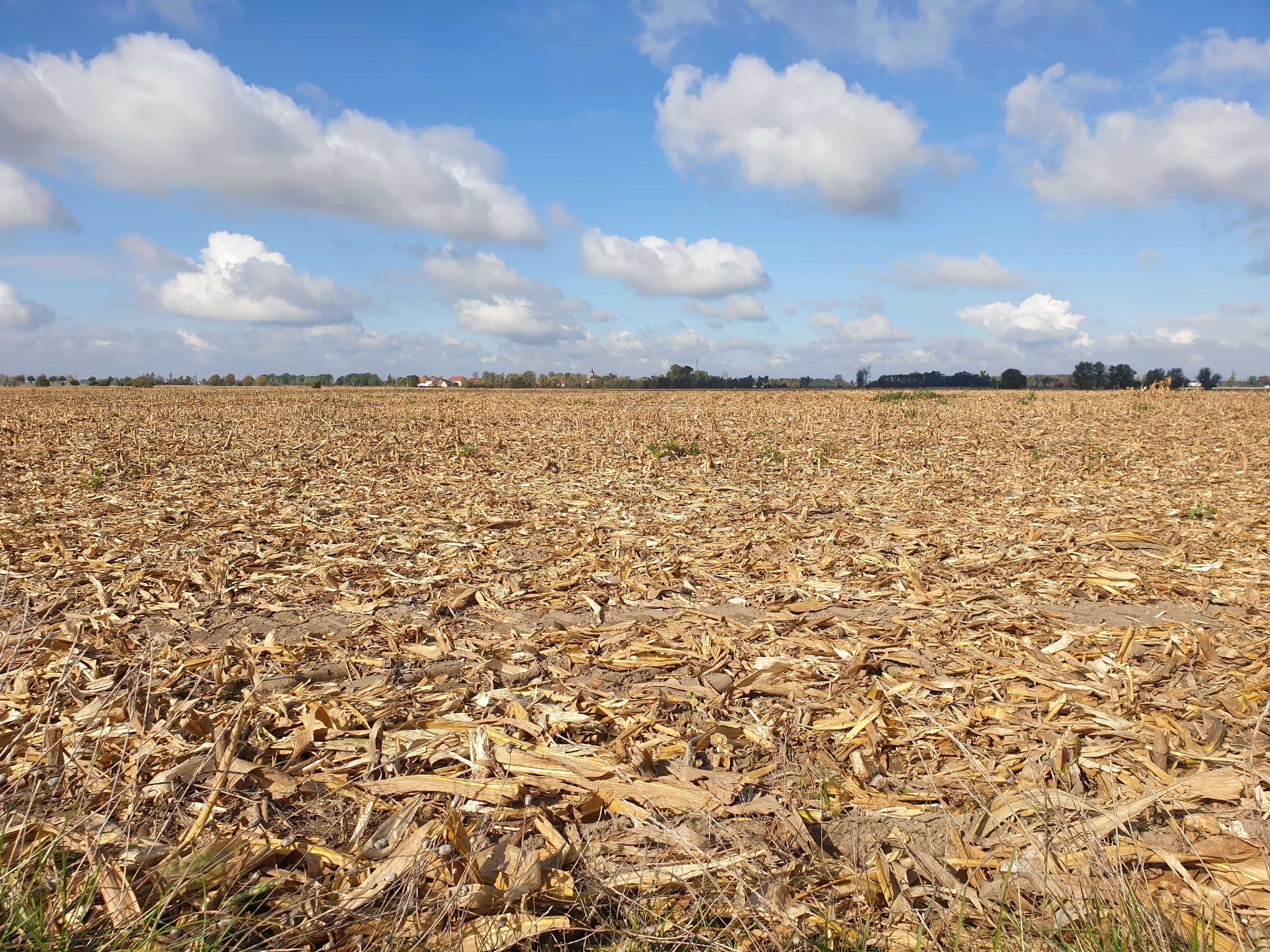 secheresse agricole