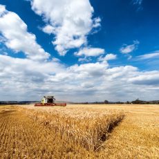 Après moisson : préparer son sol et réussir sa prochaine culture