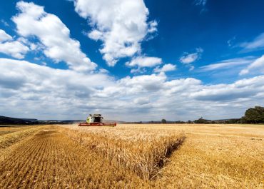 After harvest: preparing your soil and ensuring a successful next crop