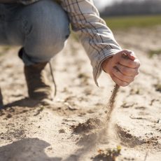 Travail du sol agricole : techniques, objectifs et choix des outils