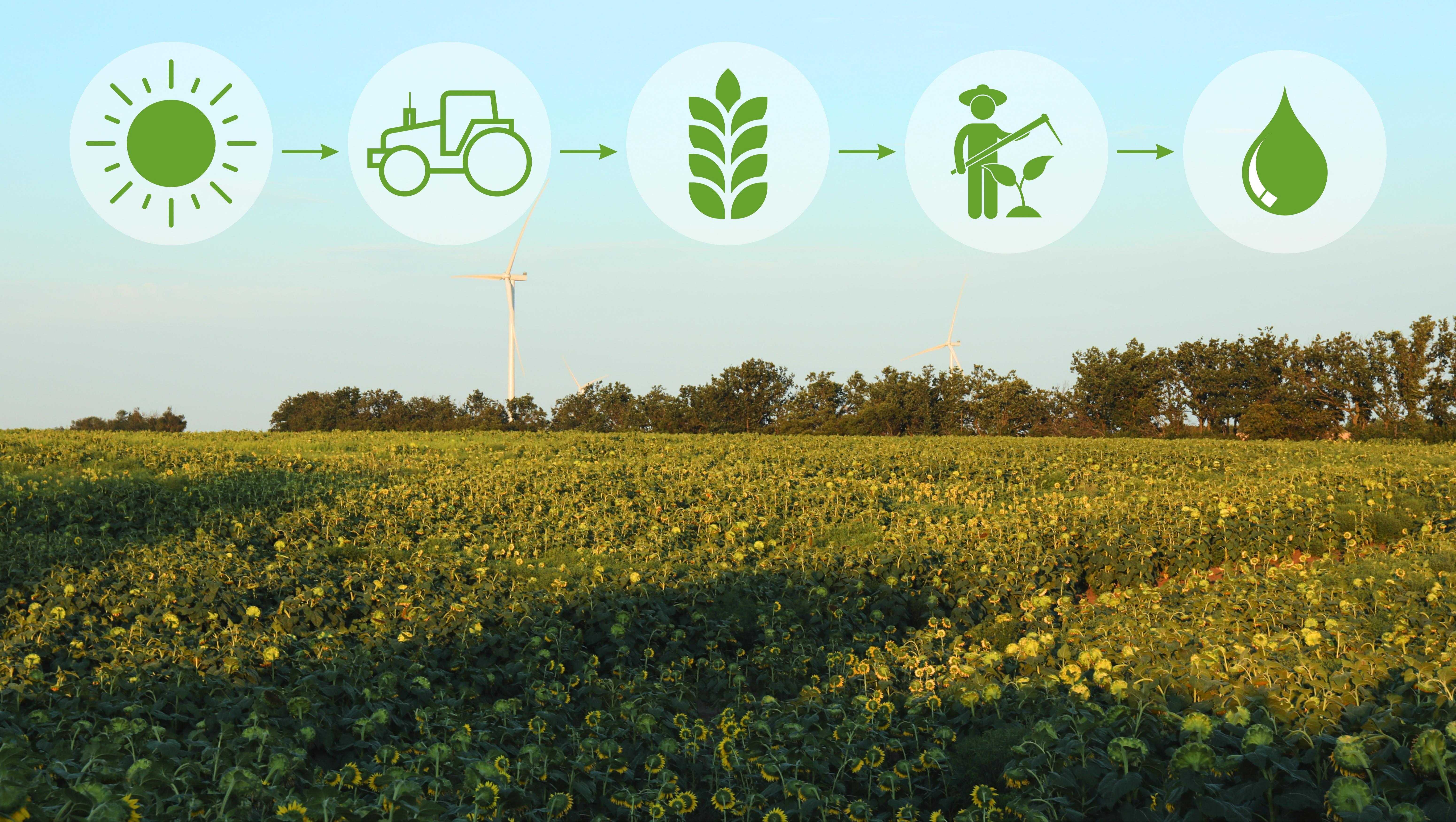 travail du sol agricole