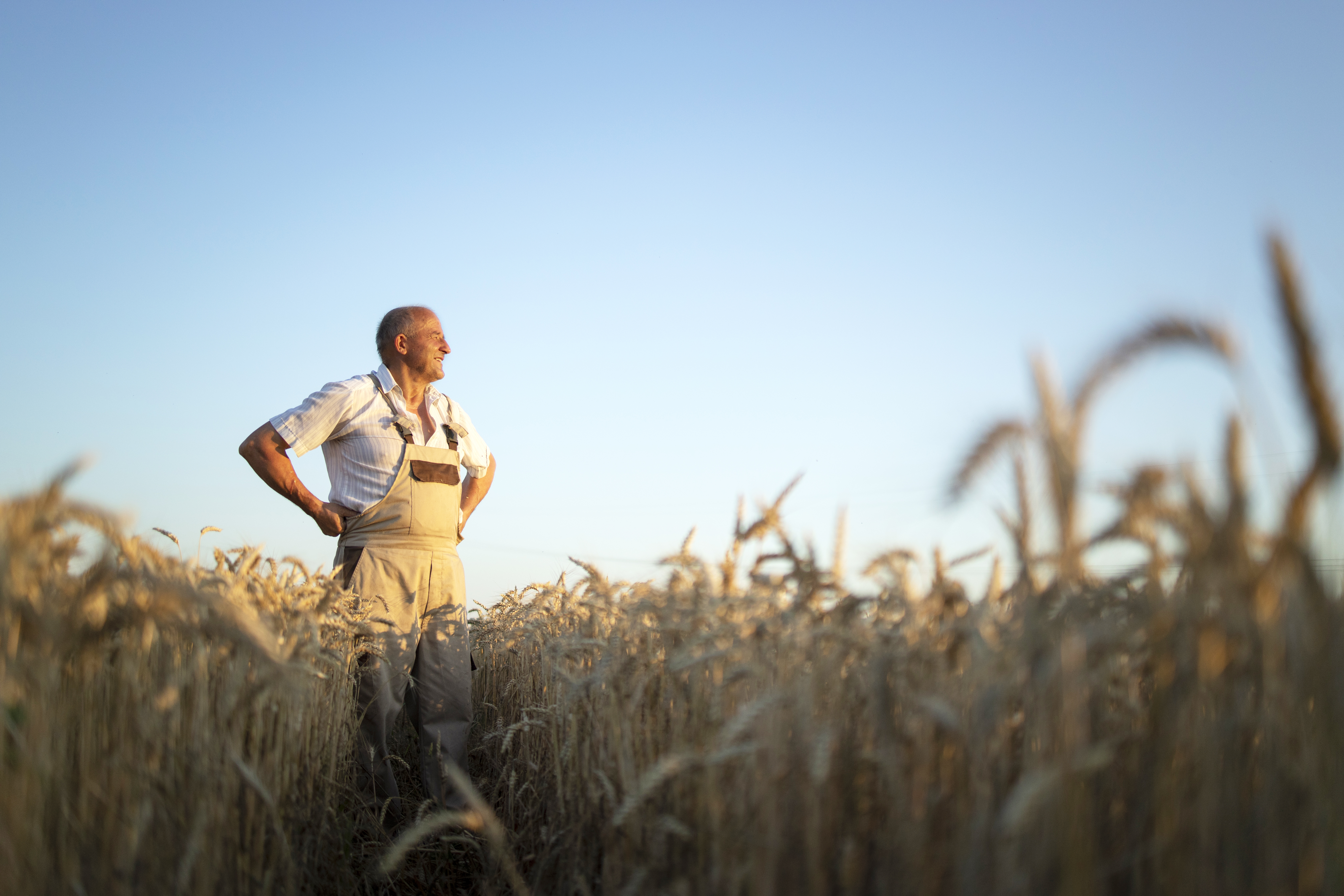 travail du sol agricole